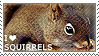 from https://www.deviantart.com/wishmasteralchemist/gallery/35749/deviant-stamps